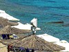 Dolphin Beach - obrázek č. 3